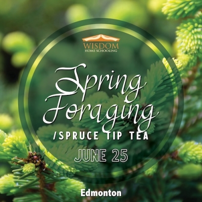Survival: Spring Foraging/Spruce Tip Tea F - Edmonton